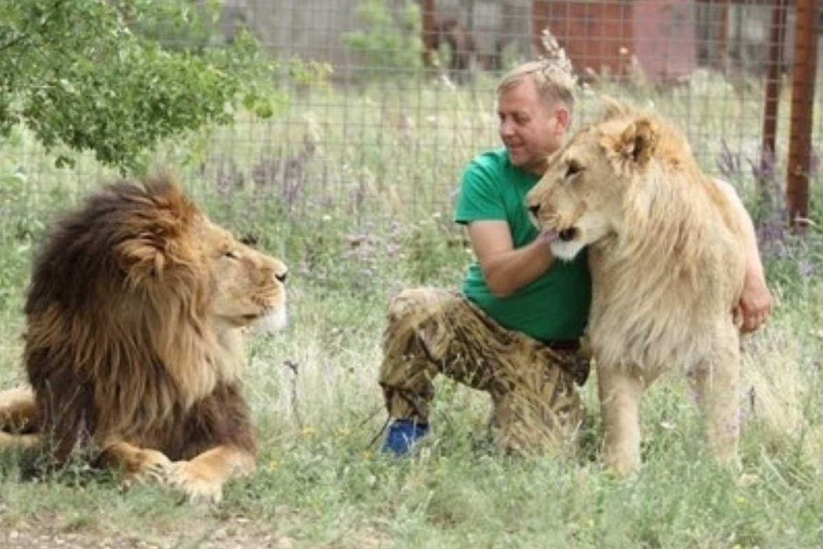 Kırım’daki Taigan Safari Parkı Müdürü Oleg Zubkov, aslan saldırısına uğradı