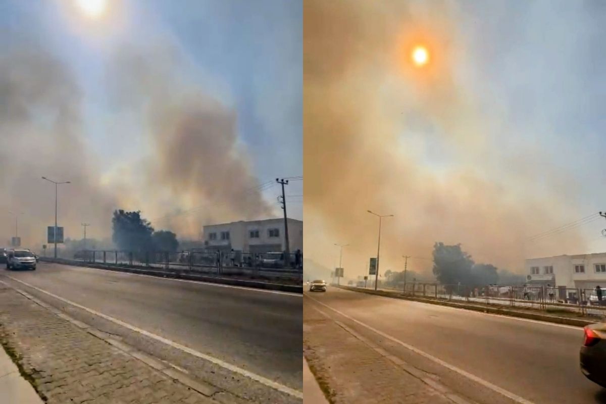 Bodrum'da büyük yangın: Alevler evleri tehdit ediyor