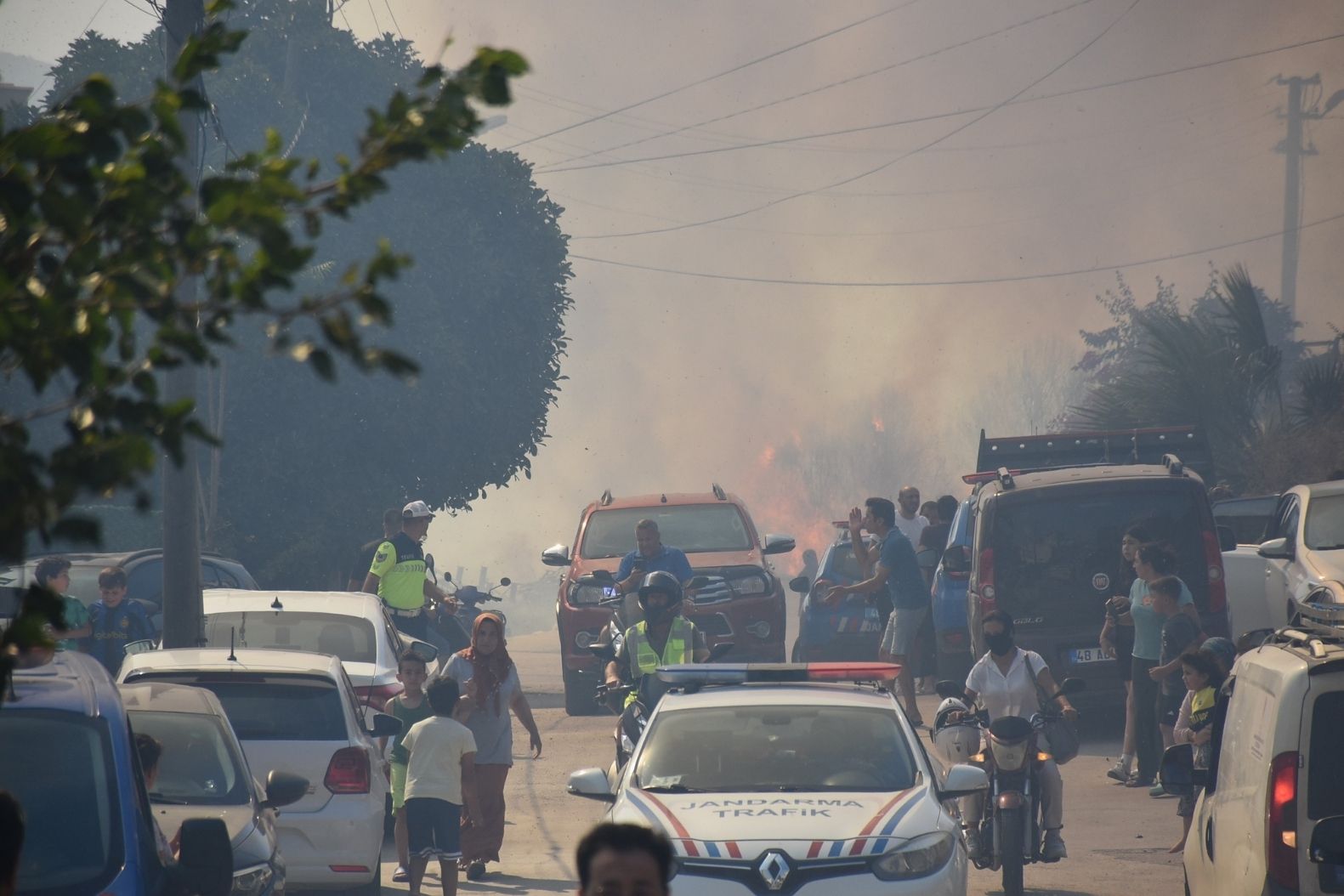 Bodrum'da makilik alanda başlayan yangın yerleşim yerlerini tehdit etti