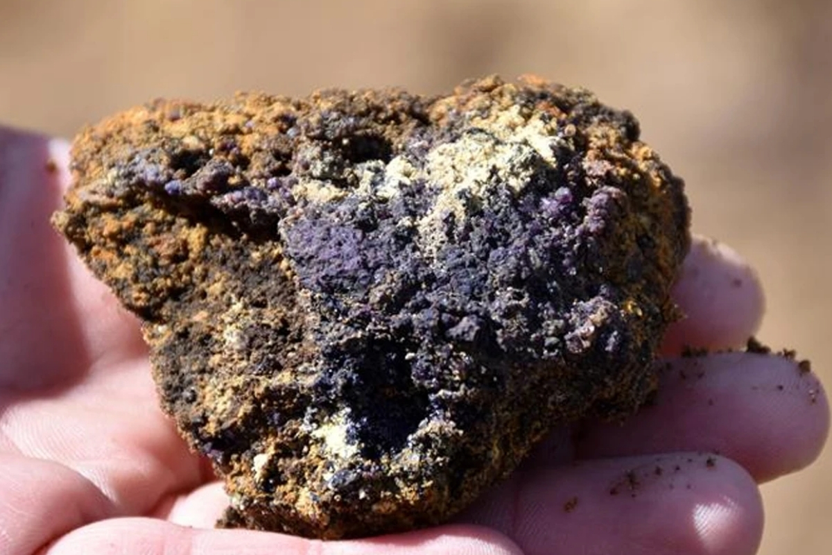 Quad dışişleri bakanları, 'Quad Kritik Mineraller Girişimi'ni duyurdu