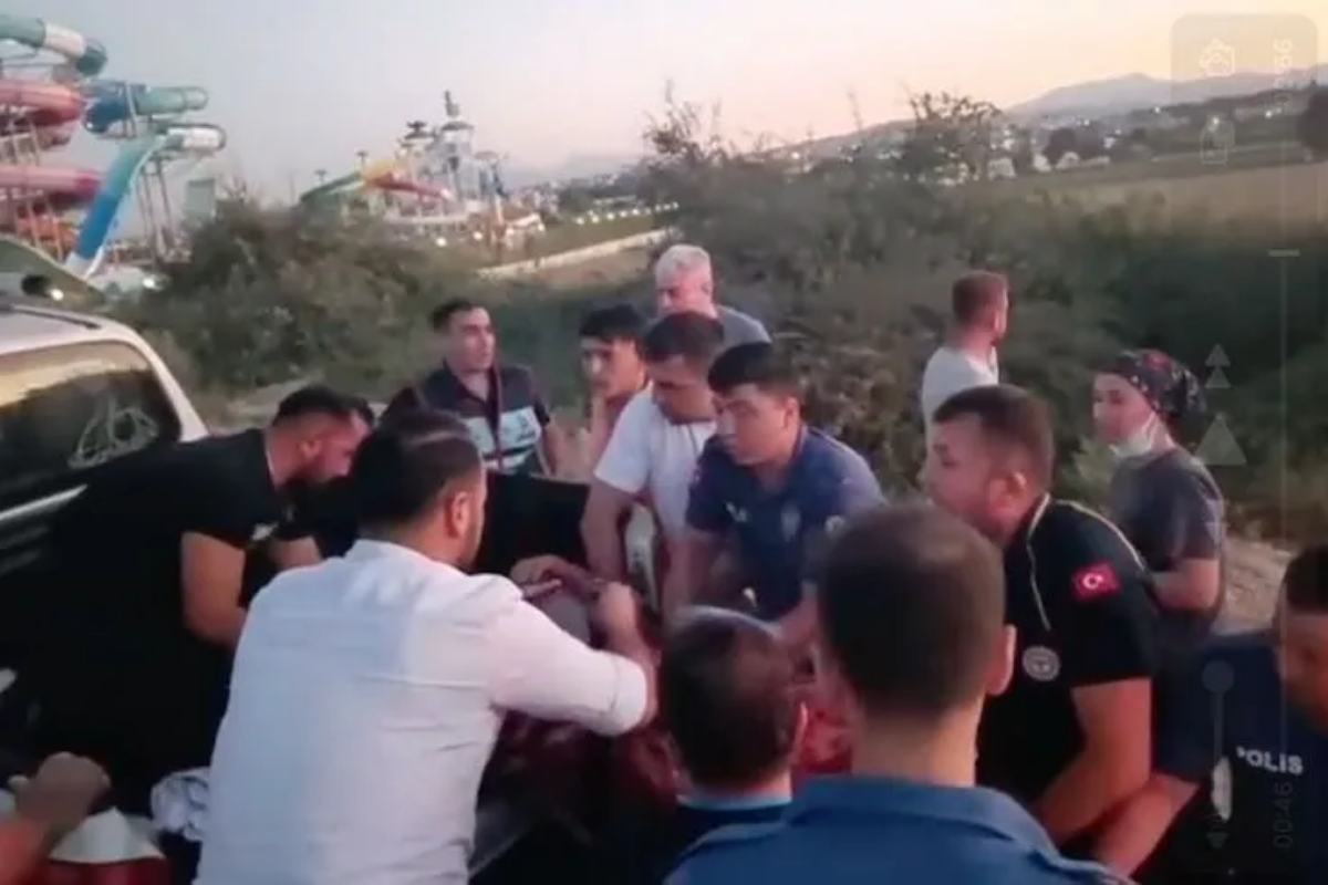 Manavgat'ta firar eden aslan saldırdı: 1 yaralı