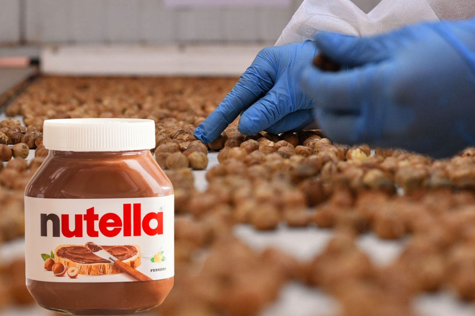 Rekabet Kurumu, Nutella'nın üreticisi Ferrero firmasına fındık yasağı geldiği iddiasını yalanladı