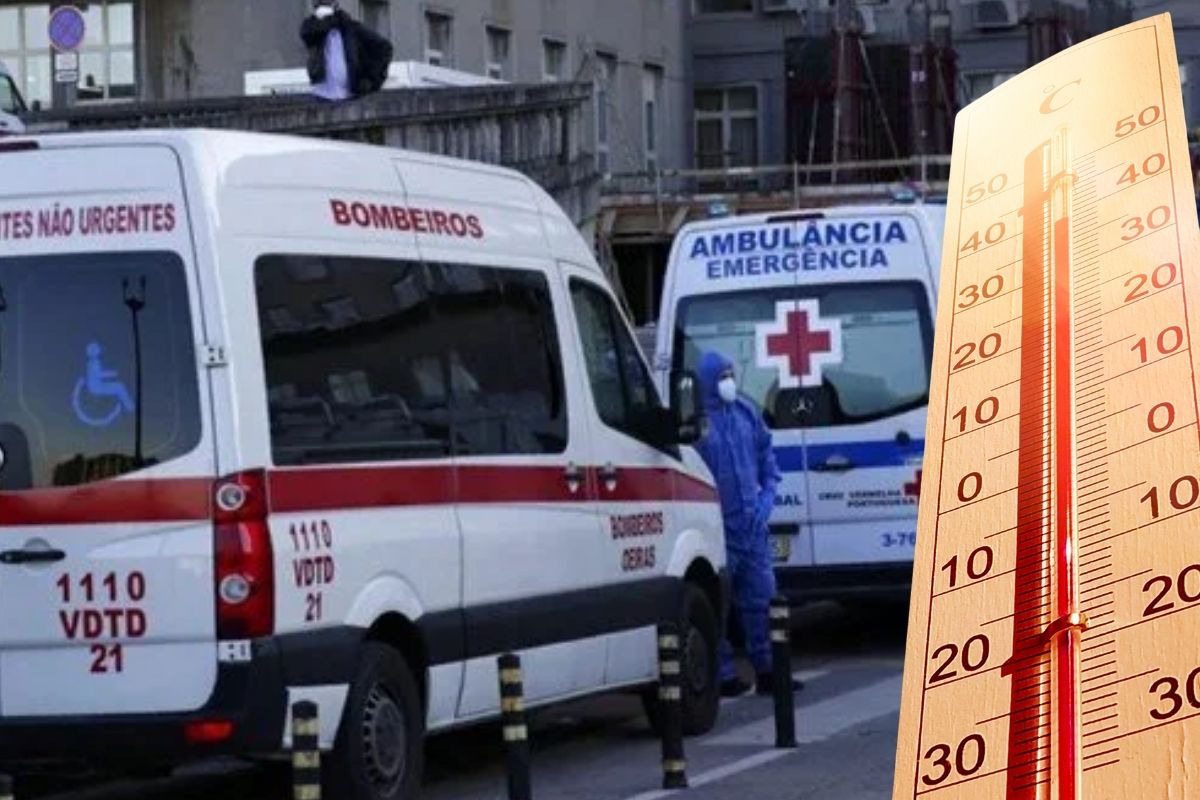 Portekiz'de aşırı sıcak alarmı: Bir haftada 264 kişi öldü