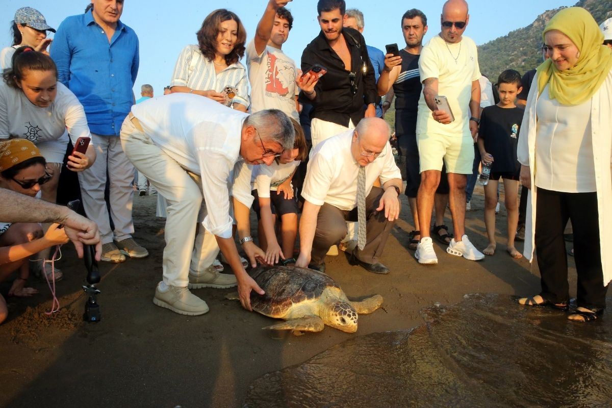 Uydu cihazıyla izlenen caretta caretta 'Tuba' ikinci dünya turuna salındı