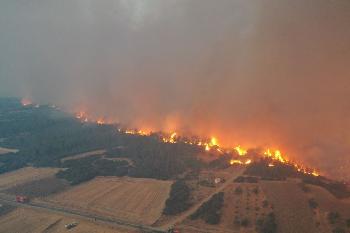 Gelibolu'da orman yangını: Kısa sürede büyüdü