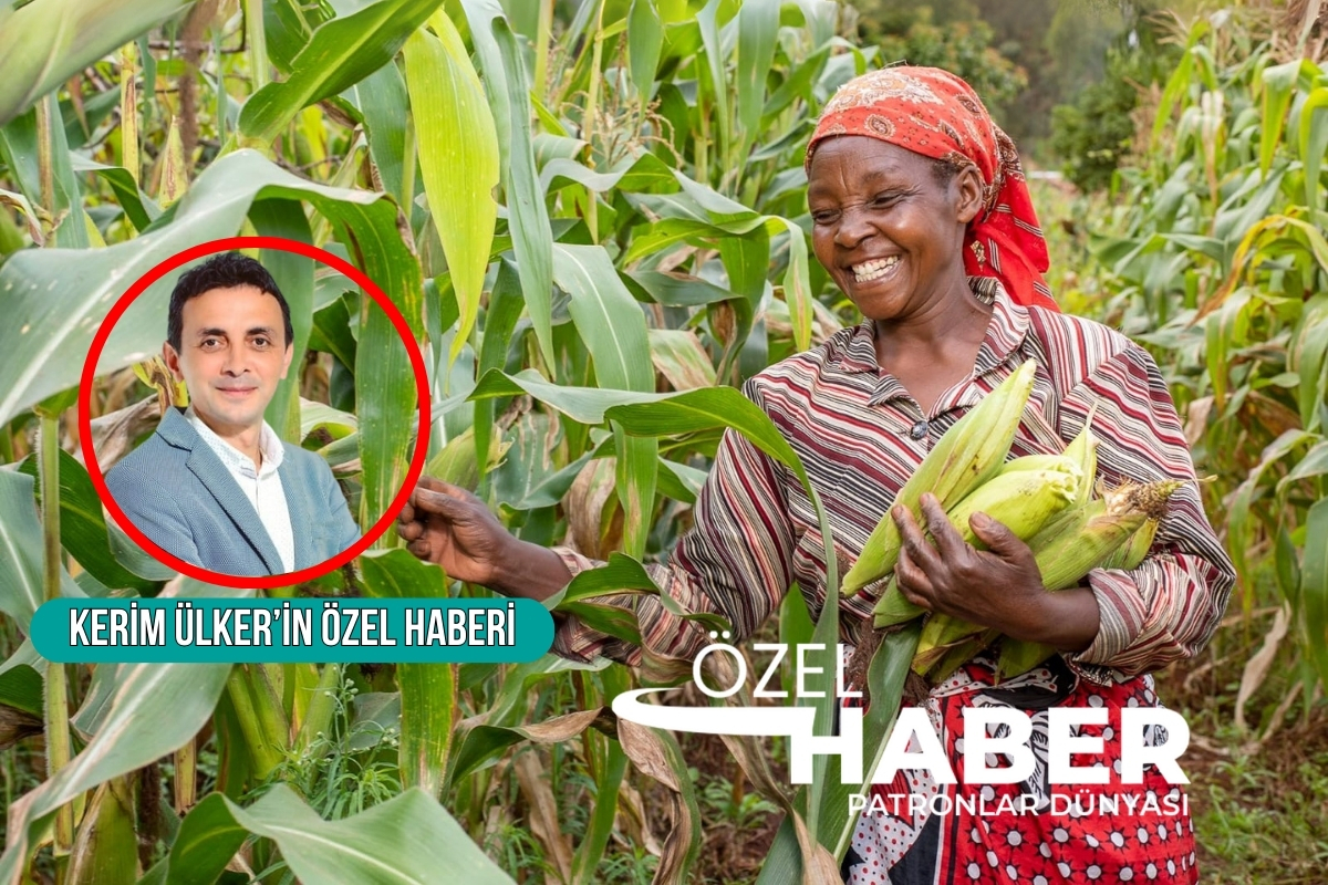 Afrika'da Türkiye-Çin rekabeti, tarım yatırımlarıyla 'kara Kıta'ya bereket getirecek