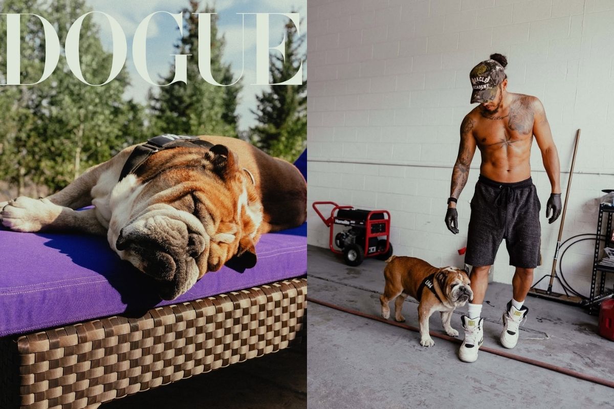 Lewis Hamilton'ın bulldog'u Roscoe, Dogue kapağında