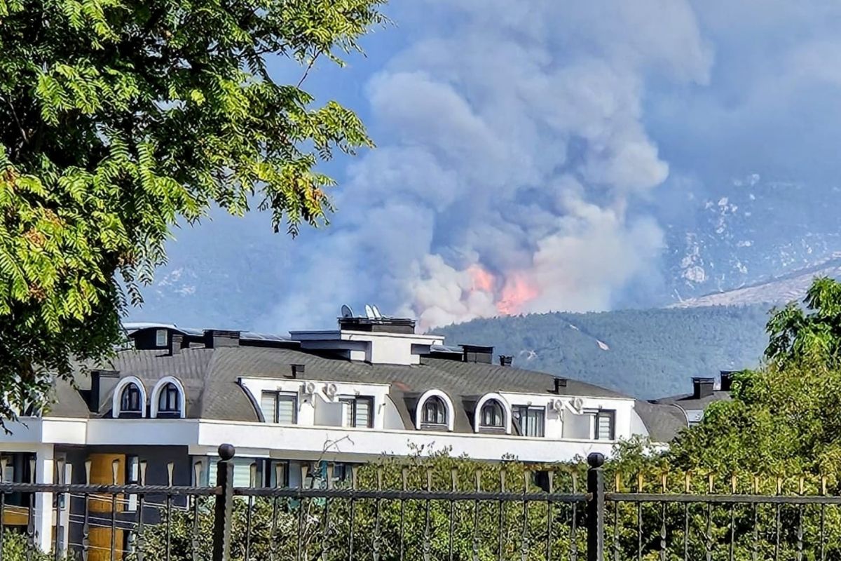Denizli’de orman yangını başladı