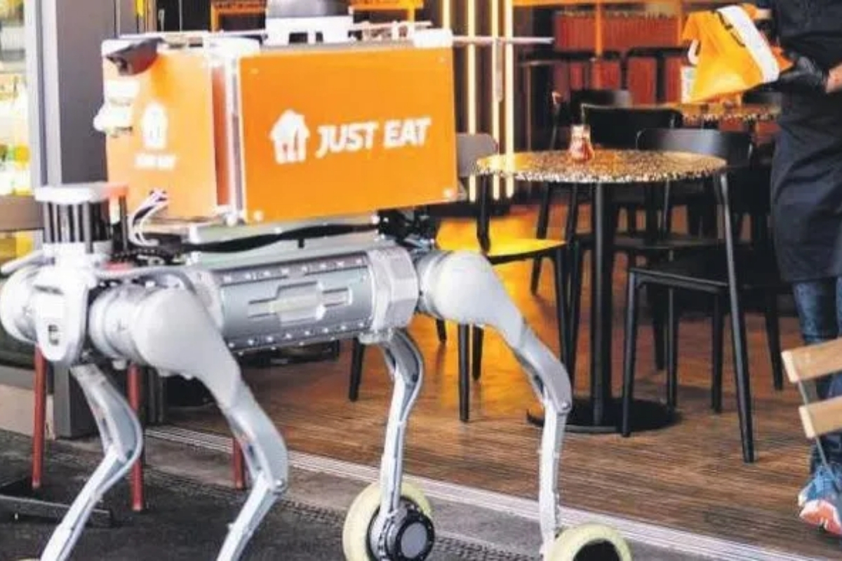 Robot köpekler teslimata başladı