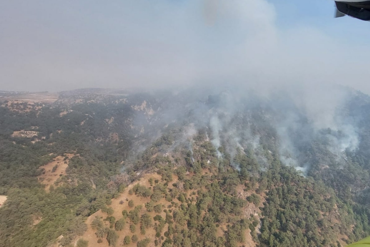 Denizli’de başlayan orman yangını Aydın’a sıçradı: 10 helikopter, 3 uçak ve yüzlerce personelle havadan ve karadan müdahale sürüyor