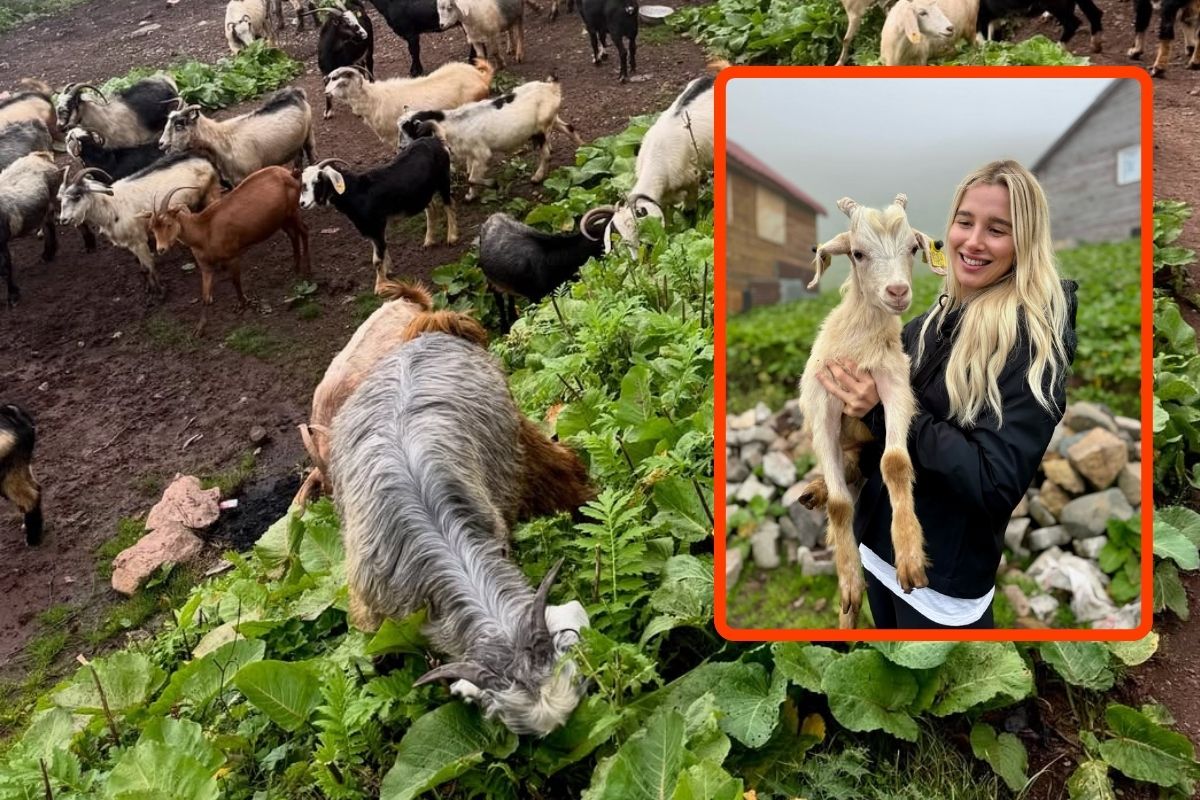 Pınar Sabancı ve eşi İlhan Sabancı, Karadeniz yaylalarına çıktı
