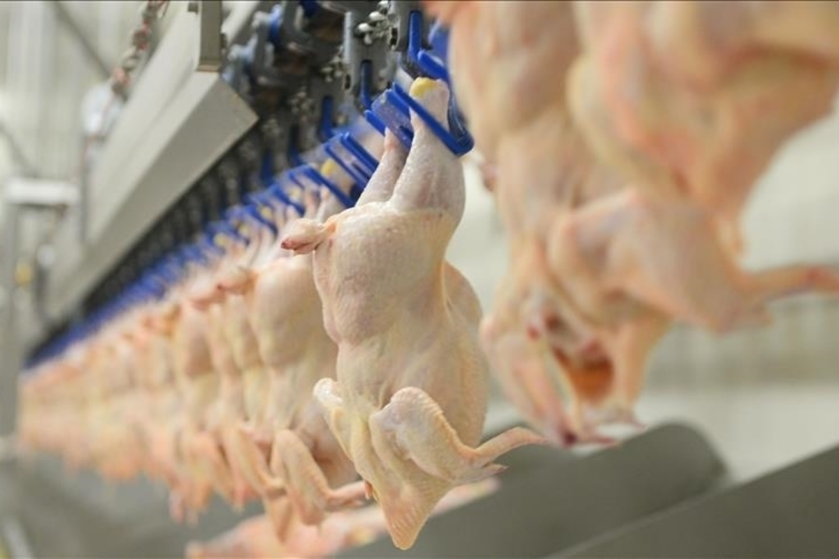 Beyaz et sektöründeki firmalara ilişkin rekabet soruşturmasında sözlü savunma toplantısı yapıldı