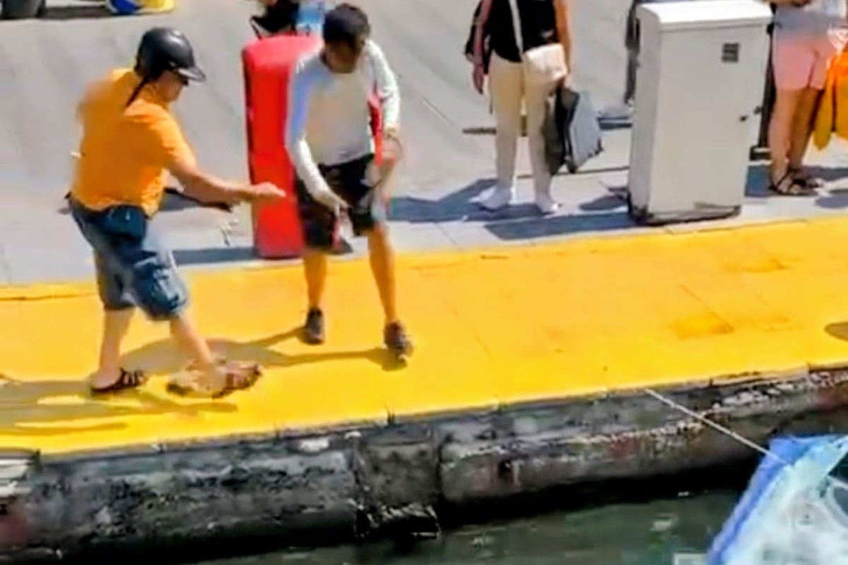 Nesli tükenmekte olan mavi yelken balığı Bodrum'da göz göre göre katledildi