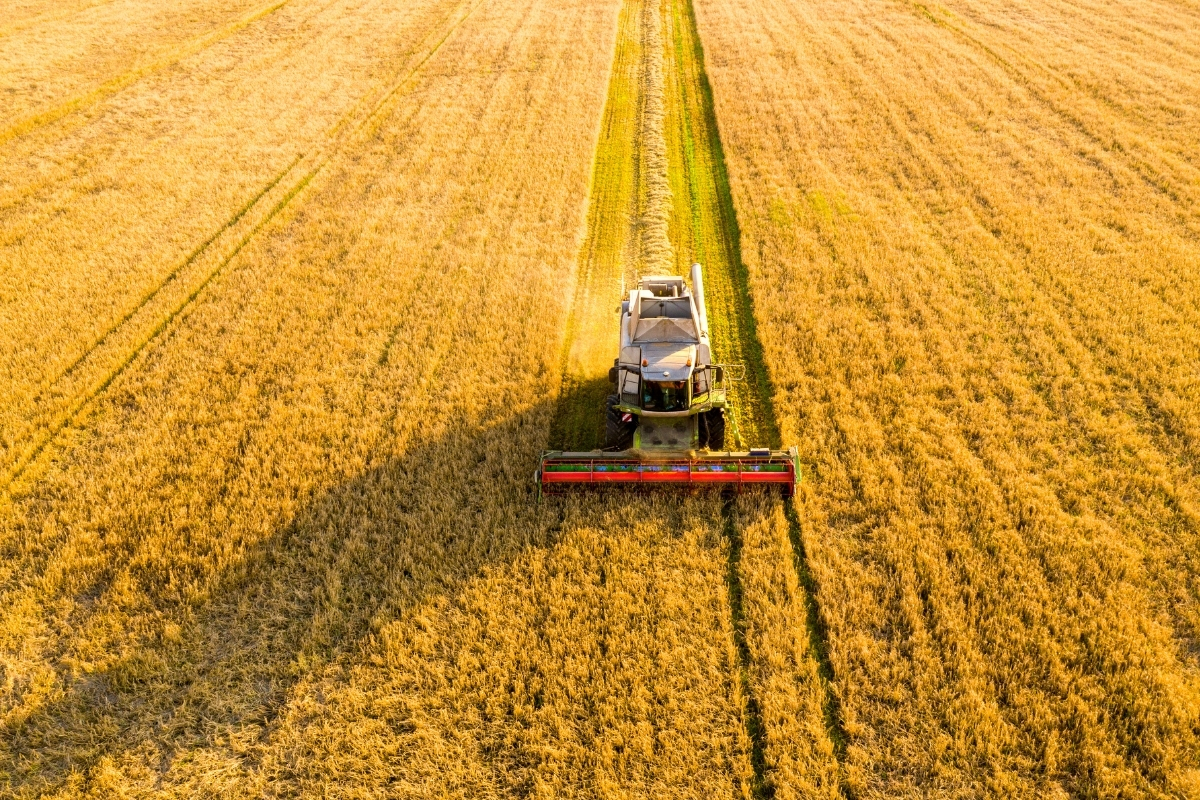 Tarım ÜFE ağustosta aylık yüzde 3,45 geriledi, yıllık artış yüzde 41,55’e ulaştı: TÜİK verileri açıklandı