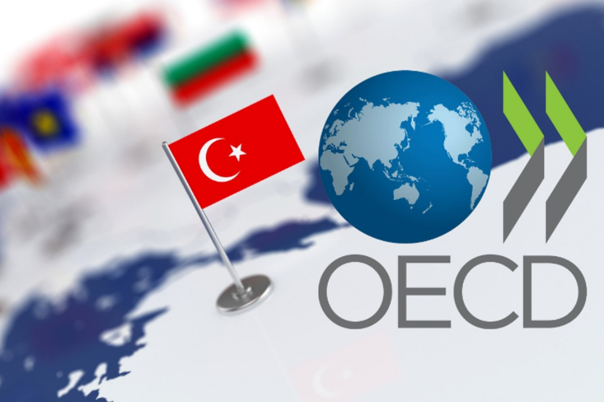 OECD Türkiye için büyüme ve enflasyon tahminini yükseltti