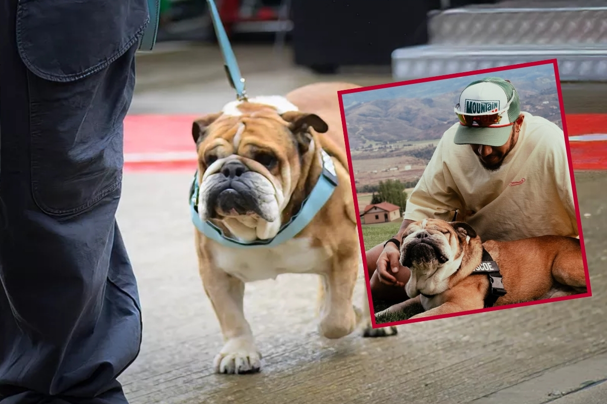 Lewis Hamilton, uzun yıllardır yanında olan köpeği Roscoe’nun ölümünü sosyal medyadan duyurdu