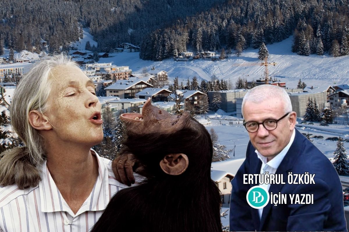 Ertuğrul Özkök, dünyaca ünlü primatolog Jane Goodall'ın erkek siyasetçilerin davranışını maymunlarınkine benzettiği Davos konuşmasını yazdı 