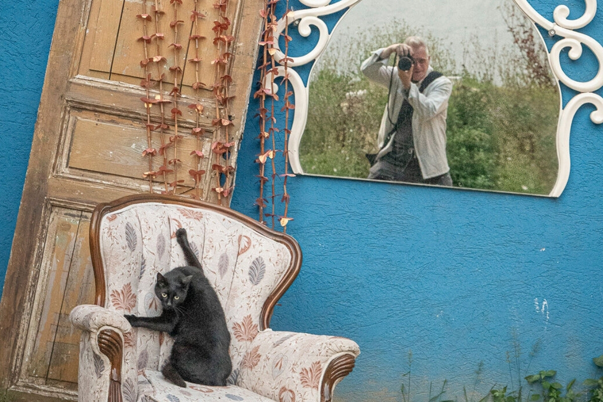 Fotoğrafçı Marcel Heijnen’in gözüyle İstanbul: Bu şehirde kediler sadece hayvan değil, kültürün bir parçası