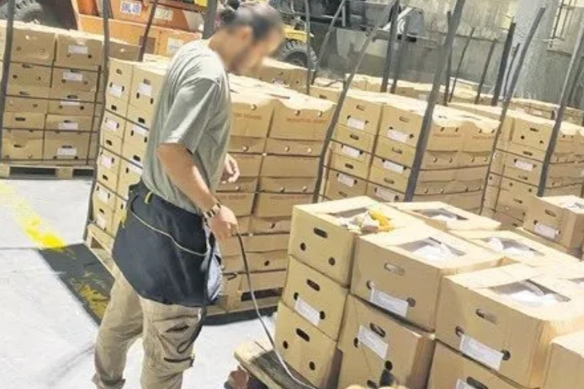 Ekvador’dan İspanya’ya giden gemide 1 ton 728 kilo kokain ele geçirildi: Türkiye’de “kontrollü teslimat” operasyonuyla alıcılar yakaladı