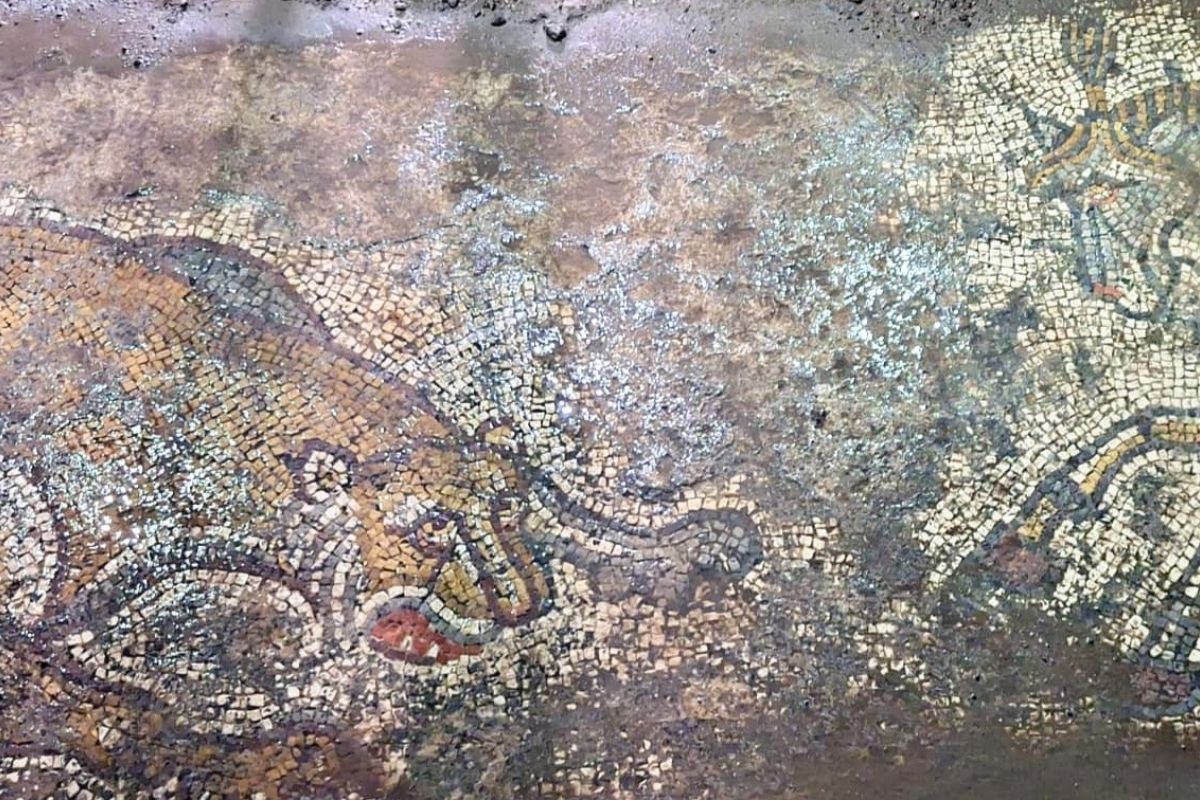 Mardin'de tarihi eser operasyonunda yaklaşık 1500 yıllık mozaik bulundu
