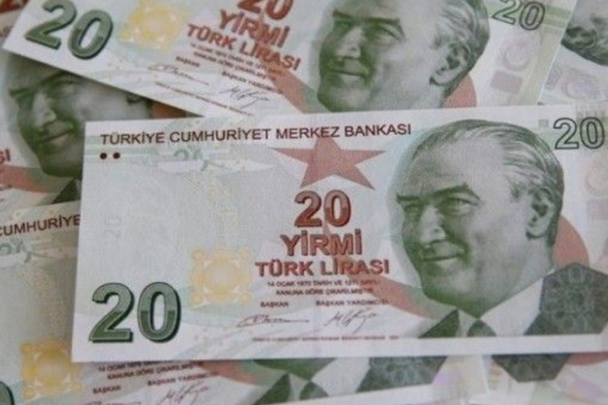 E9 Emisyon Grubu 7'nci Tertip 20 TL banknotlar tedavüle verildi