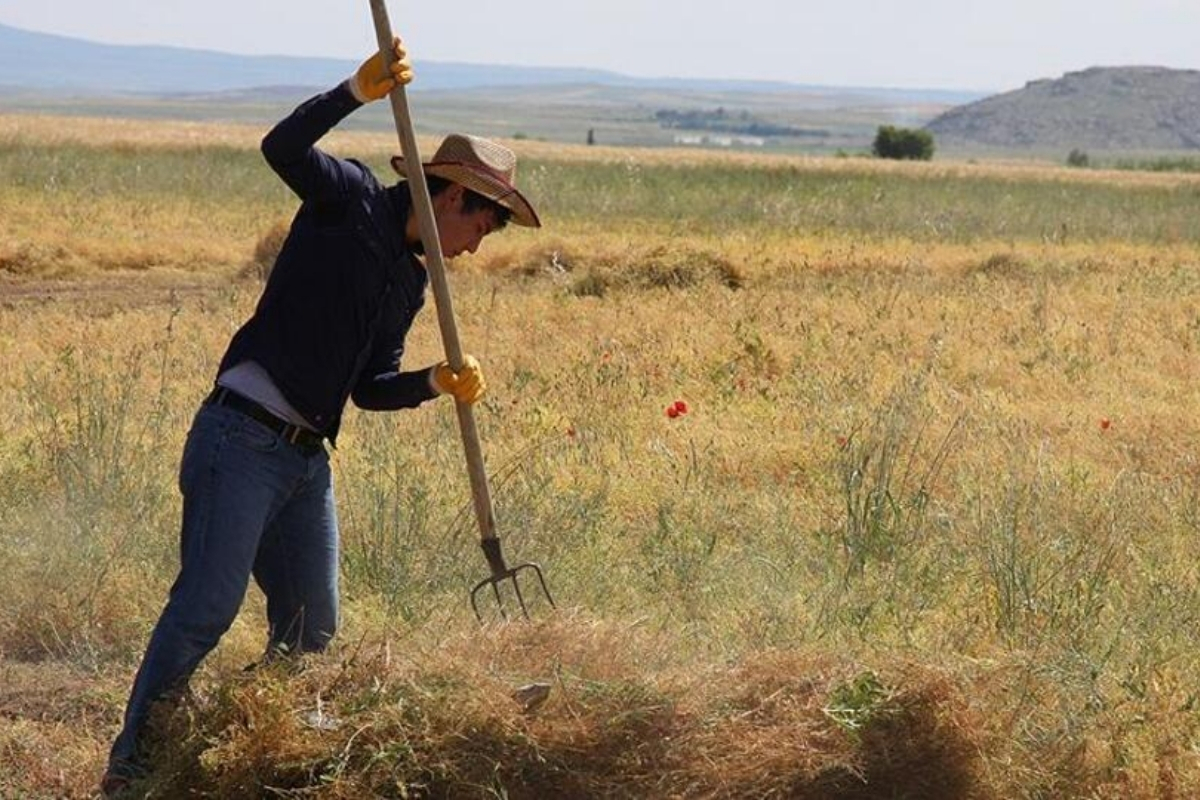 Türkiye Ekonomi Politikaları Araştırma Vakfı açıkladı: Sigortalı çiftçi sayısı bir ayda 750 bin kişi arttı