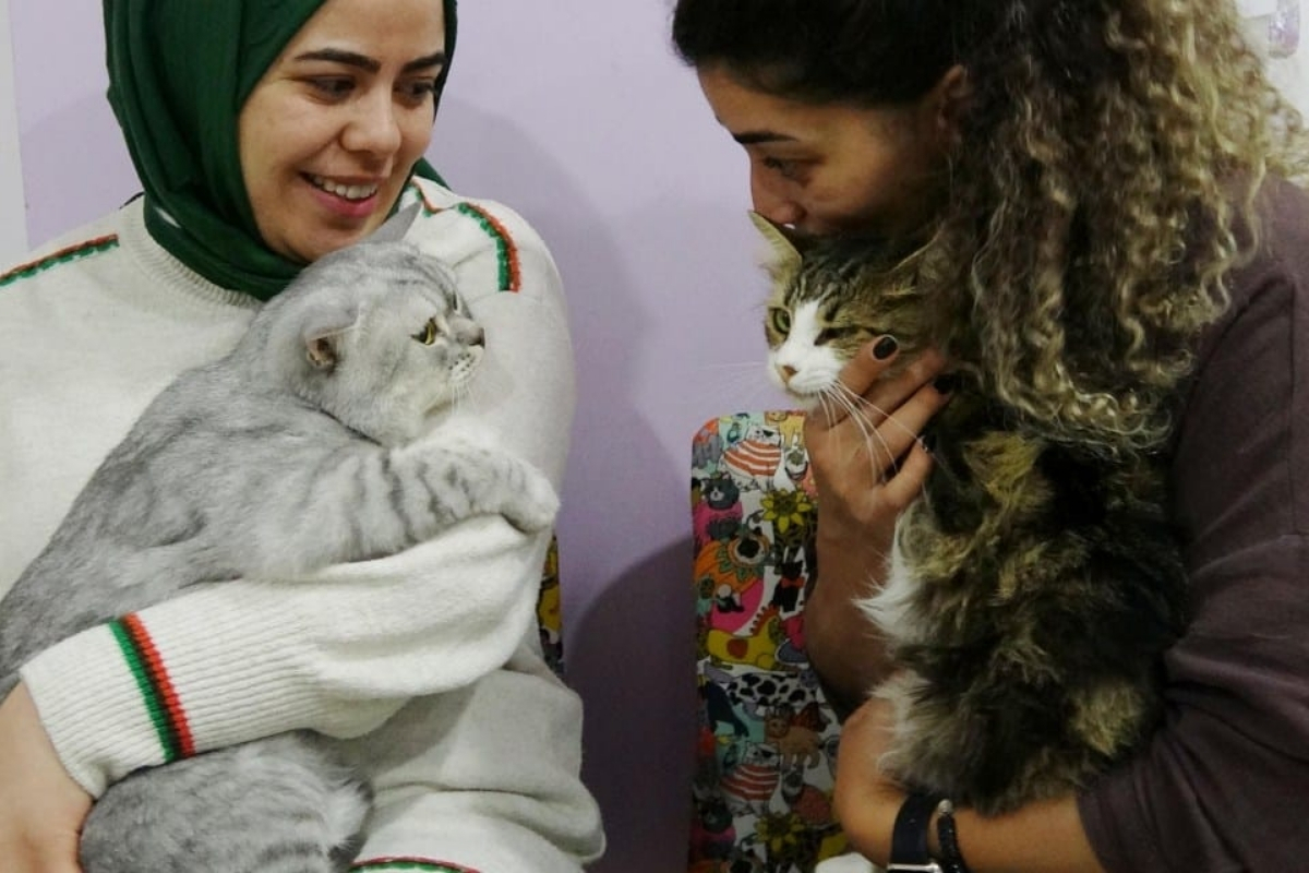 'Tombik oğlan' Casper umutlar kesilmişken geri döndü