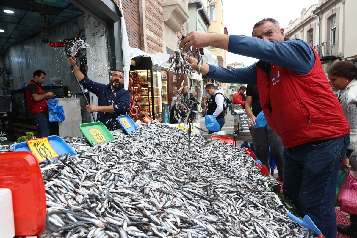 Karadeniz Bölgesi'nde hamsi bolluğu tezgahlara yansıdı