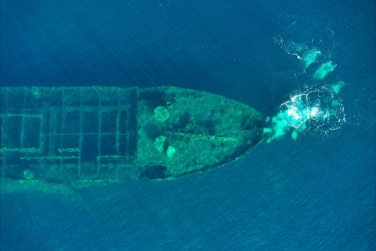 İzmir'in Çeşme ilçesinde bulunan Monem batığı dalış noktası oldu