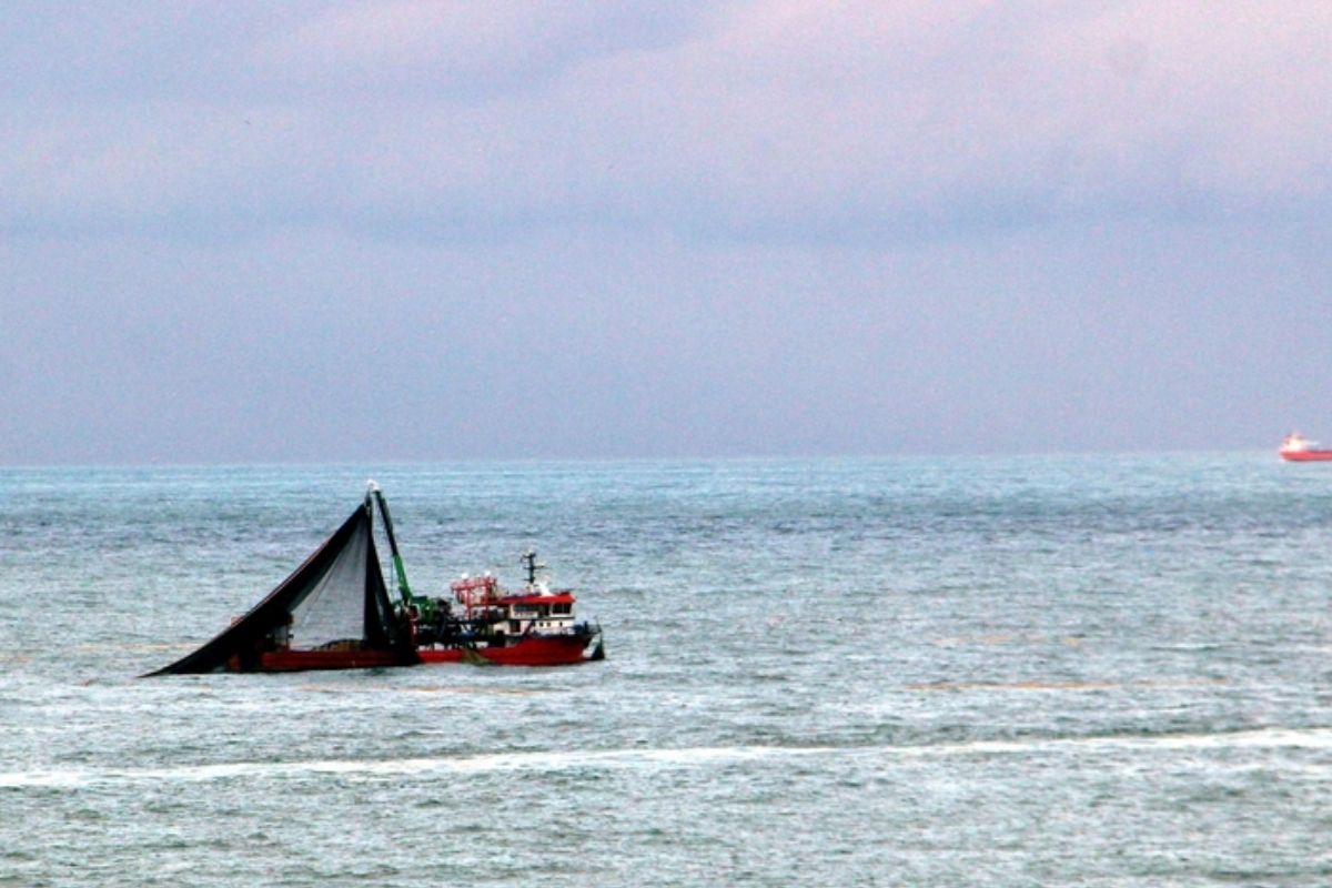 Doğu Karadeniz'in üç limanında metal kirliliği orta ila yüksek ekolojik risk düzeyinde bulundu