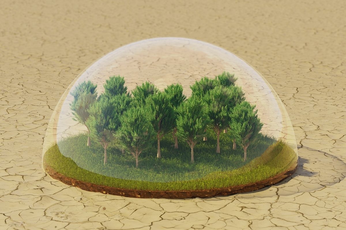 2026'da Paris Anlaşması hedeflerine ulaşmak için İklim Değişikliği Azaltım Stratejisi ve Eylem Planı güncellenecek