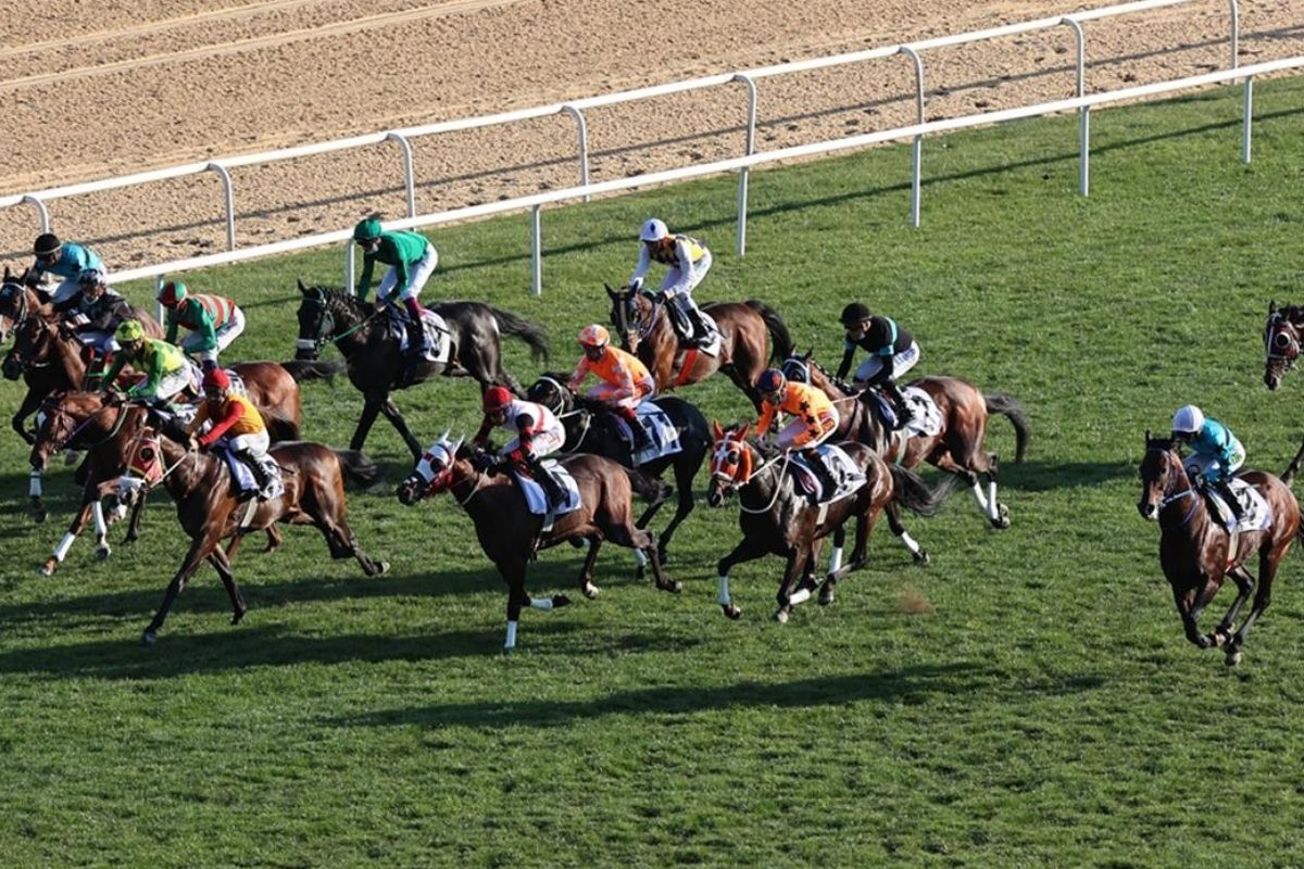 At yarışlarında Cumhuriyet ve Cumhurbaşkanlığı koşuları yapıldı