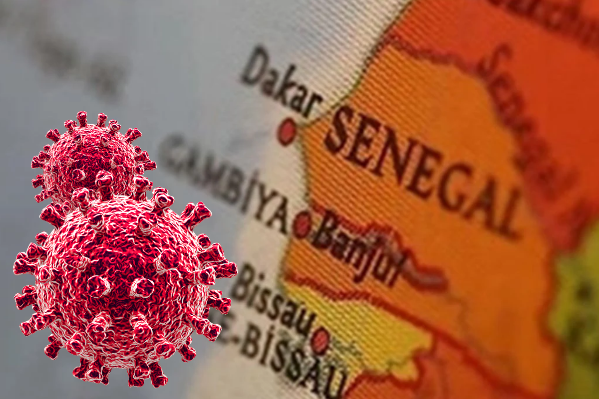 Senegal'de Rift Vadisi Ateşi salgınında ölü sayısı 29'a çıktı