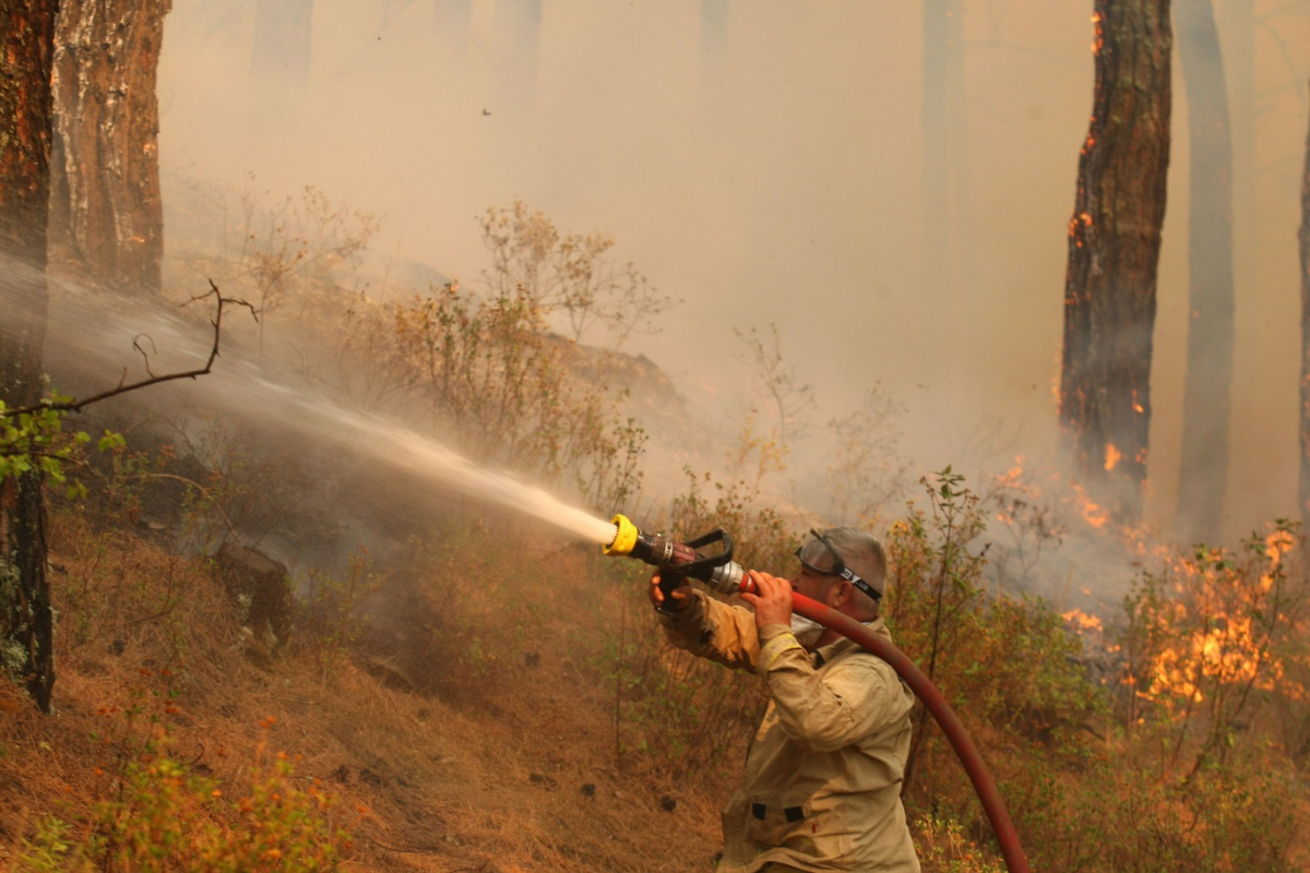 Muğla ve Aydın’da 2025’te 429 yangın meydana geldi, 3 bin 800 dönüm alan küle döndü
