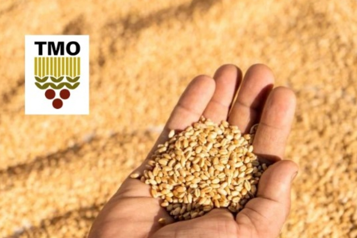 Toprak Mahsulleri Ofisi ÇAYKUR ve TürkŞeker’in 2026 yılında alım hedefleri ve yatırım planları açıklandı