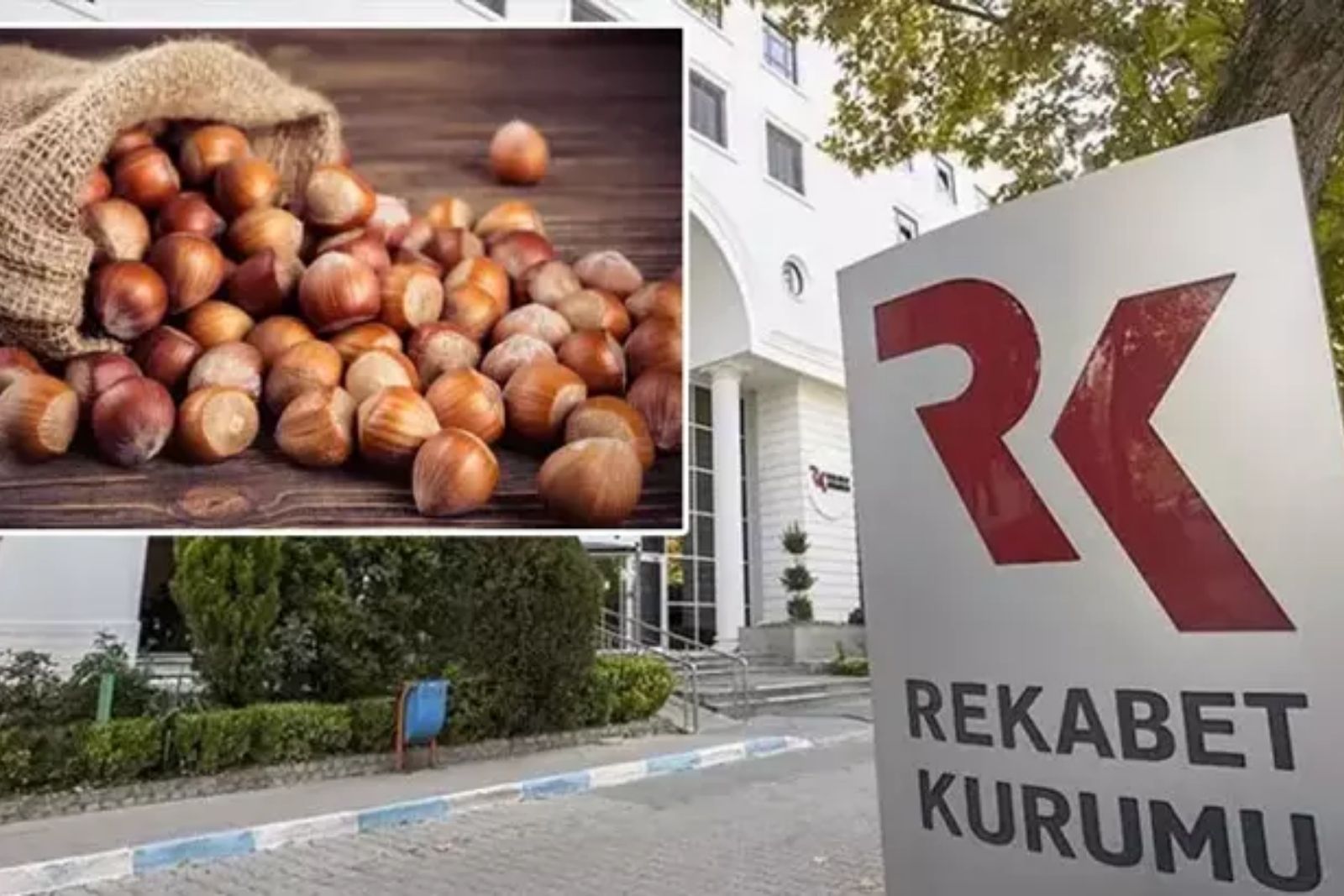 Rekabet Kurulu Ferrero'nun fındık alım taahhütlerini revize etti, en az 30 bin ton alım zorunluluğu