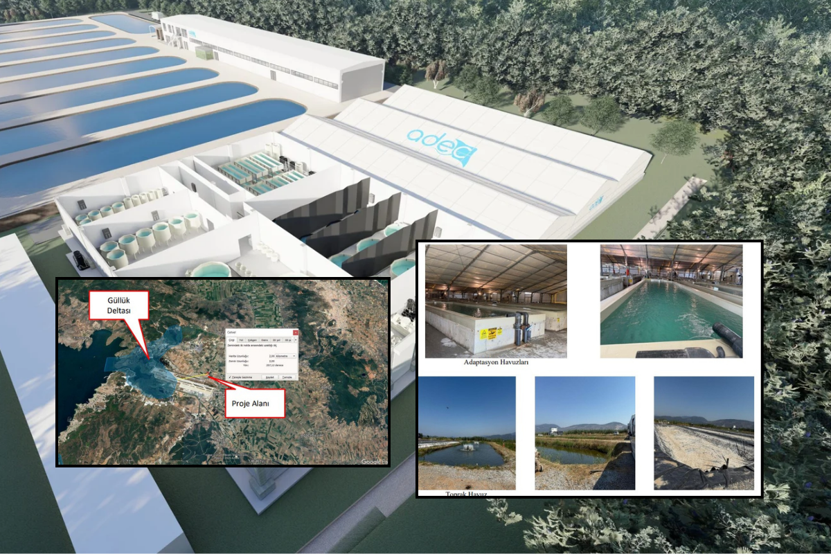 Milas'ta ADEC Akvaryum’un su ürünleri tesisinin kapasite artırımına onay