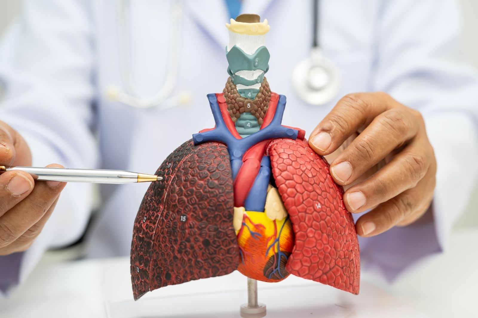 Türkiye'de 32 bin 936 kişi organ nakli olmayı bekliyor