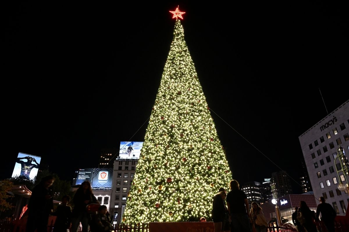 San Francisco’da dev Noel ağacı ışıklandırıldı