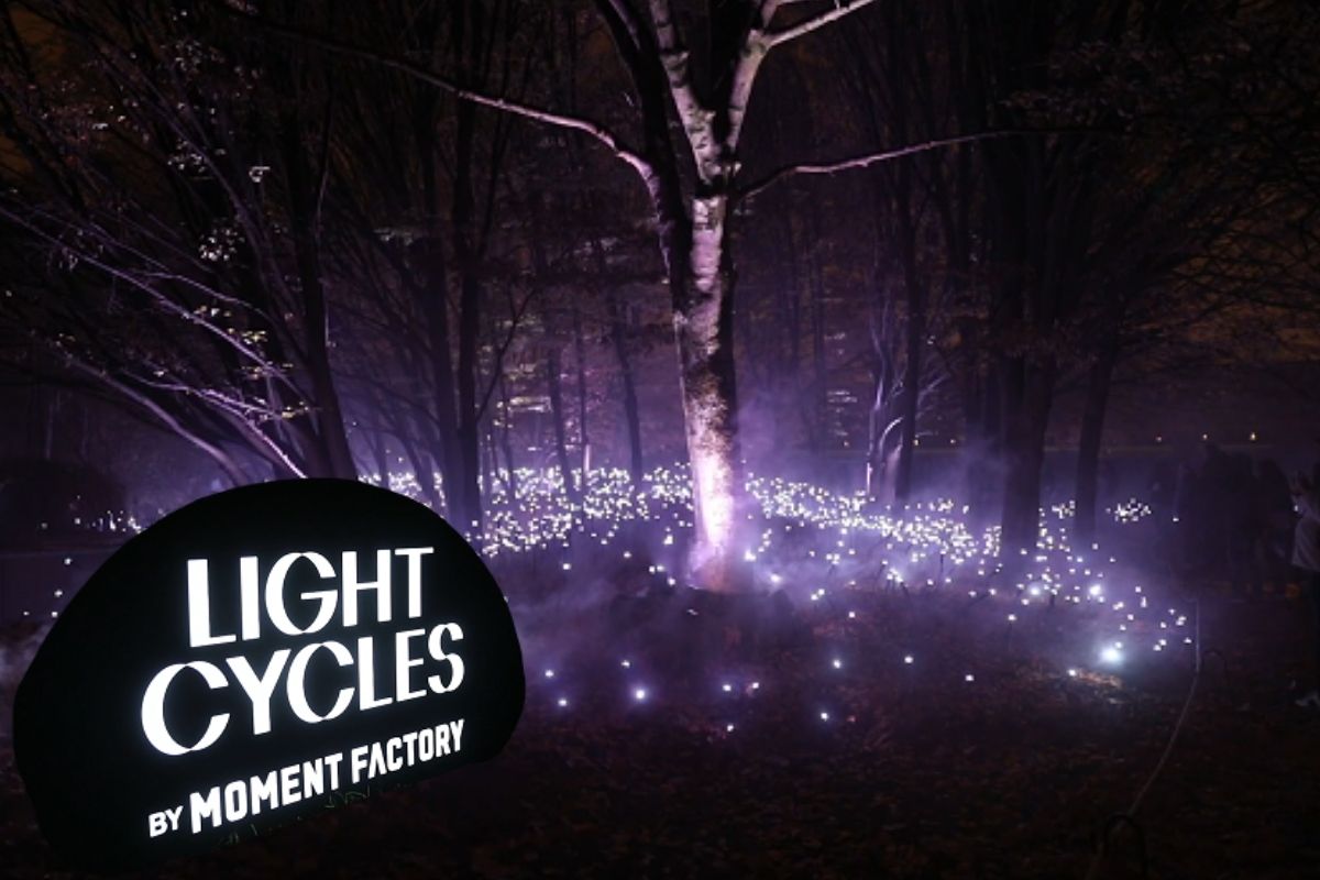 Fransa’da 'Light Cycles' açık hava gösterisi, ışık, ses ve doğayı buluşturdu