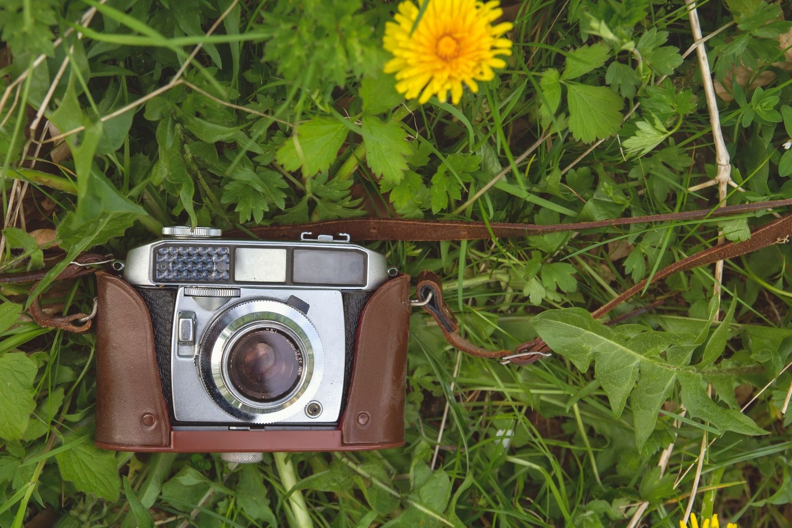 AA'nın düzenlediği İstanbul Photo Awards 2026 başvuruları başladı