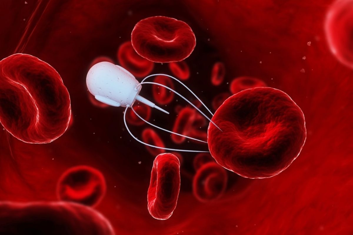 Bilim insanları, damarlarda ilerleyerek belirli dokulara ilaç ulaştırabilen mikro robotları test etti