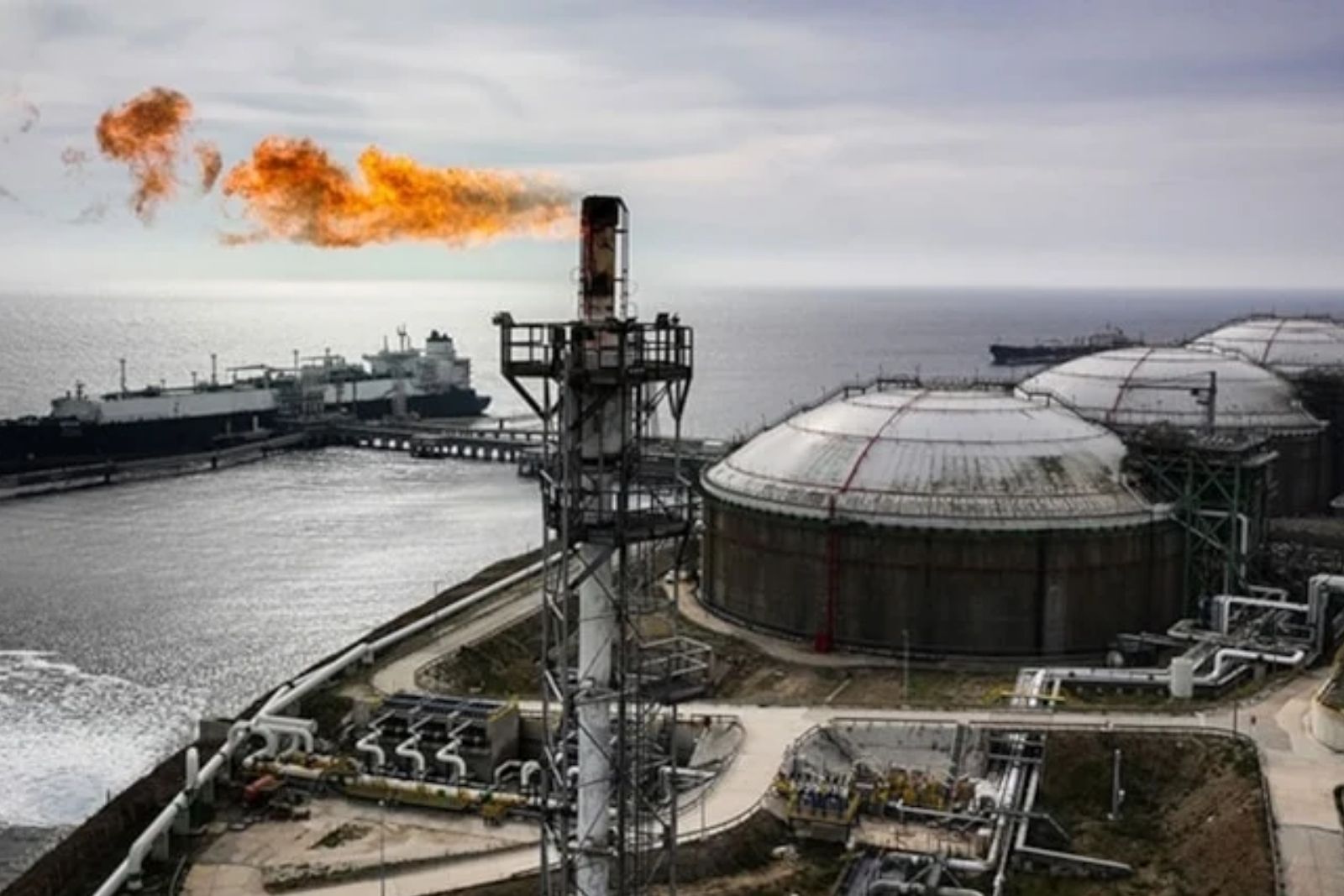 Türkiye'ye borçlu ülke Bulgaristan'da benzin krizi kapıda