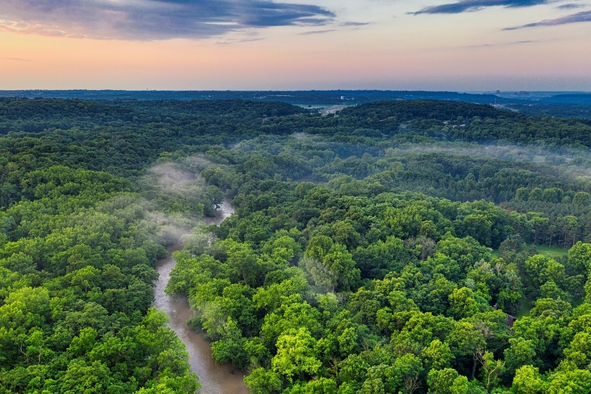 BM raporlarına göre Dünya, her yıl 10 milyon hektar tropikal orman kaybediyor
