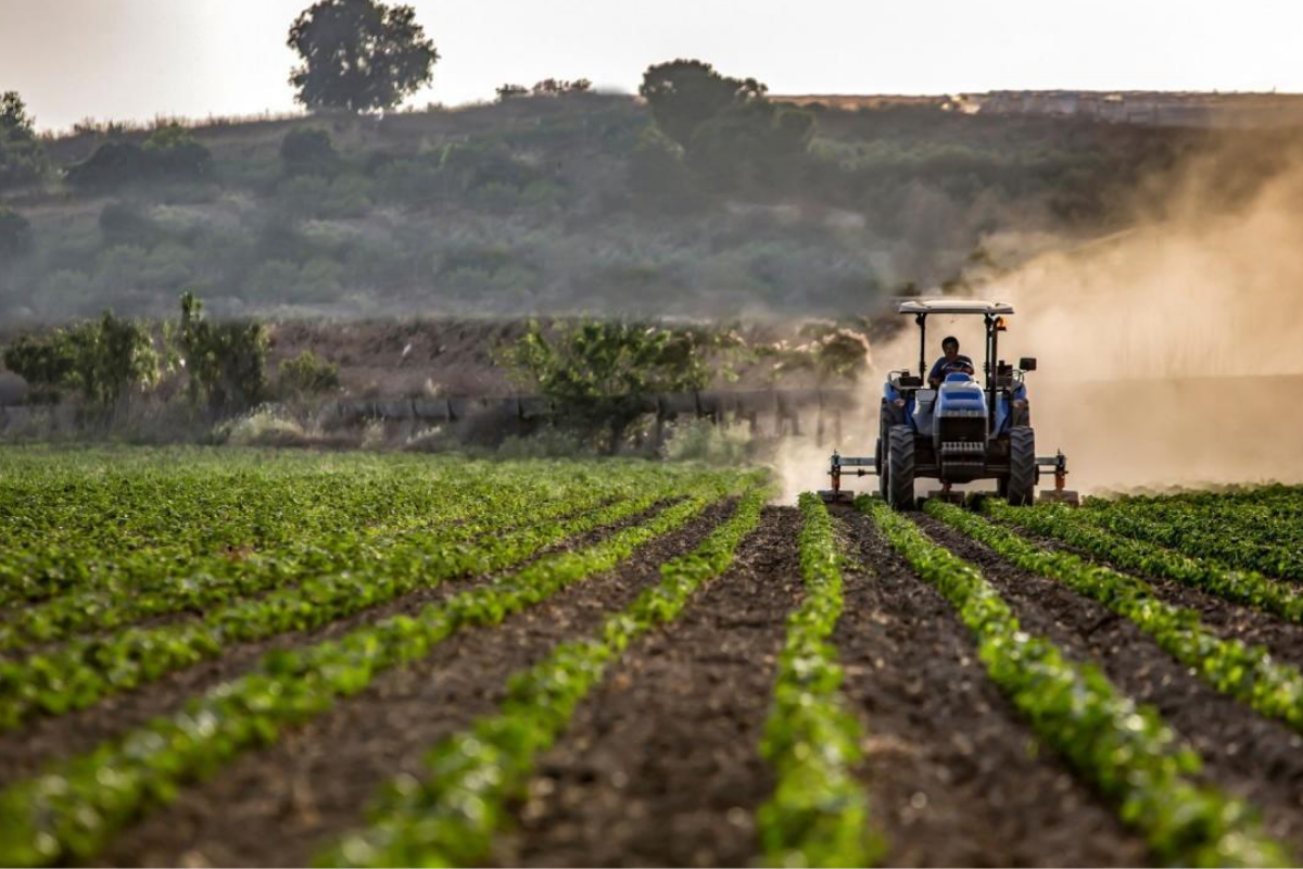Tarım ÜFE ekimde geçen aya göre yüzde 4; geçen yılın aynı ayına göre yüzde 45,4 arttı