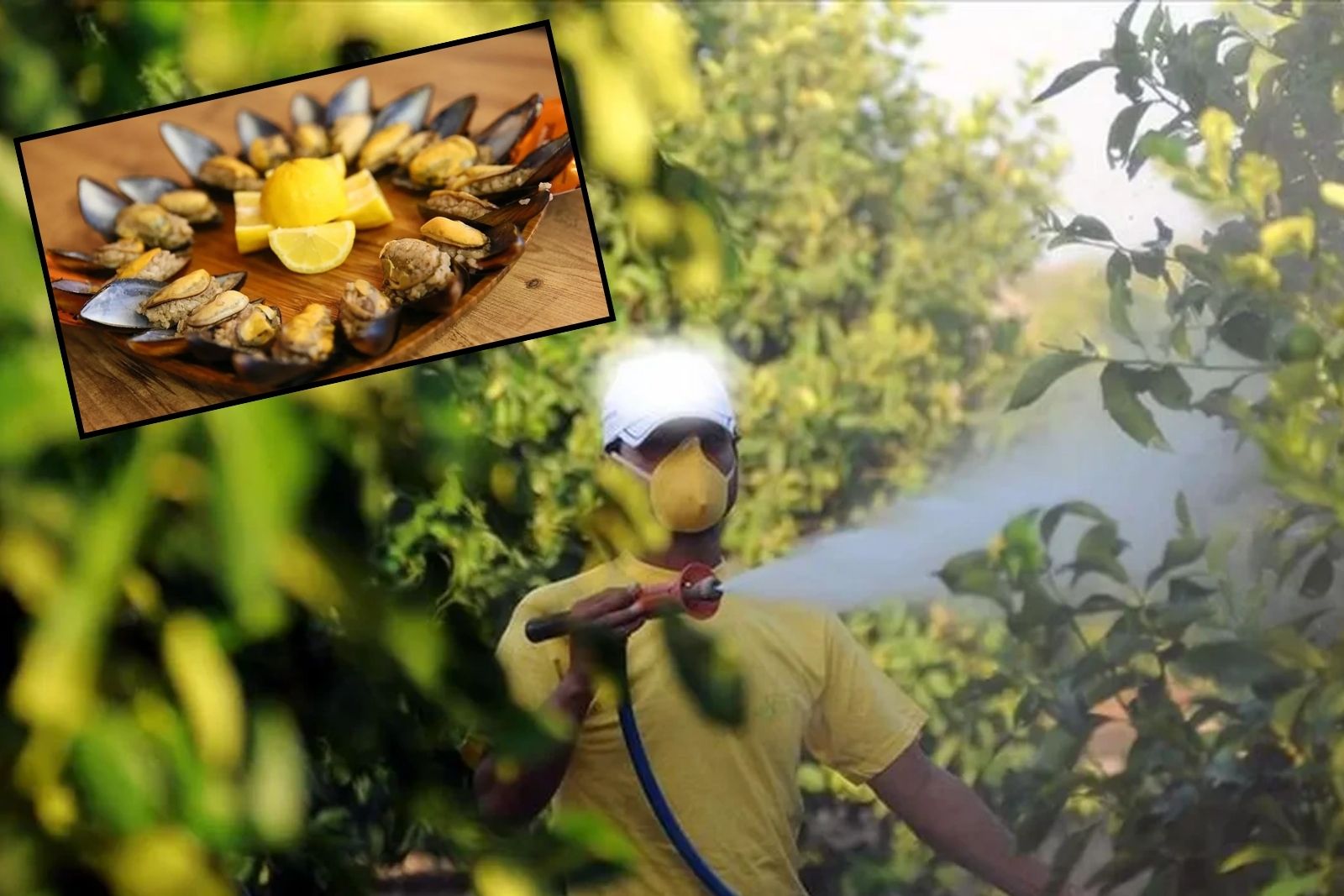 1 milyon işletme denetlendi, 2 milyar ceza kesildi