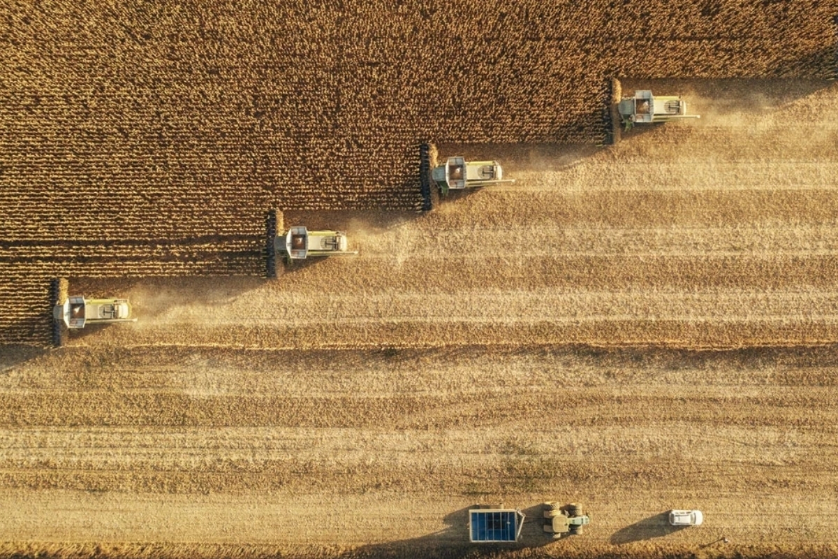 Çiftçilere 331 milyon 664 bin lira tarımsal destek ödemesi bugün yapılacak