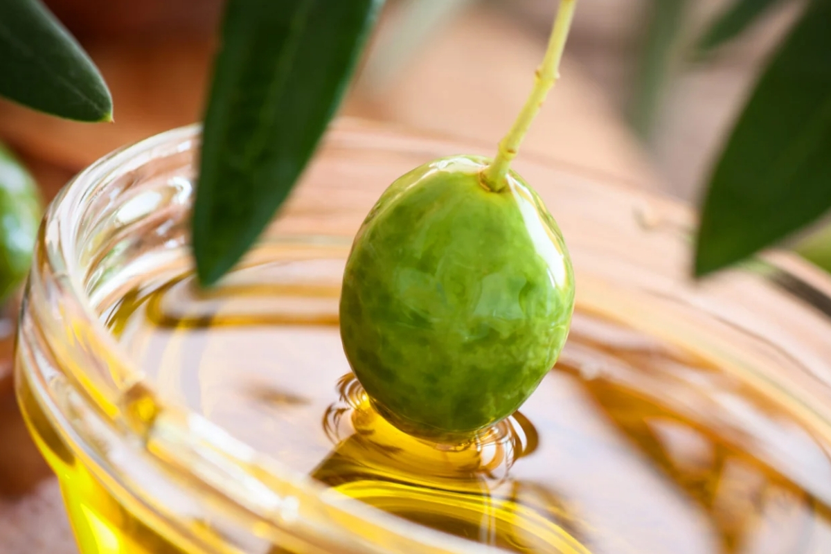 Taze sıkım zeytinyağı tüketiminin diz kireçlenmesini hafiflettiği ortaya çıktı