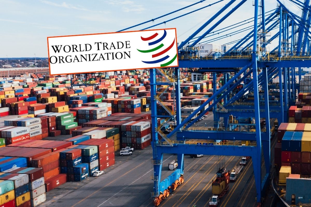 Artan gümrük vergileri ve belirsizlikler, 2025'in ikinci yarısında ticaret büyümesini yavaşlattı