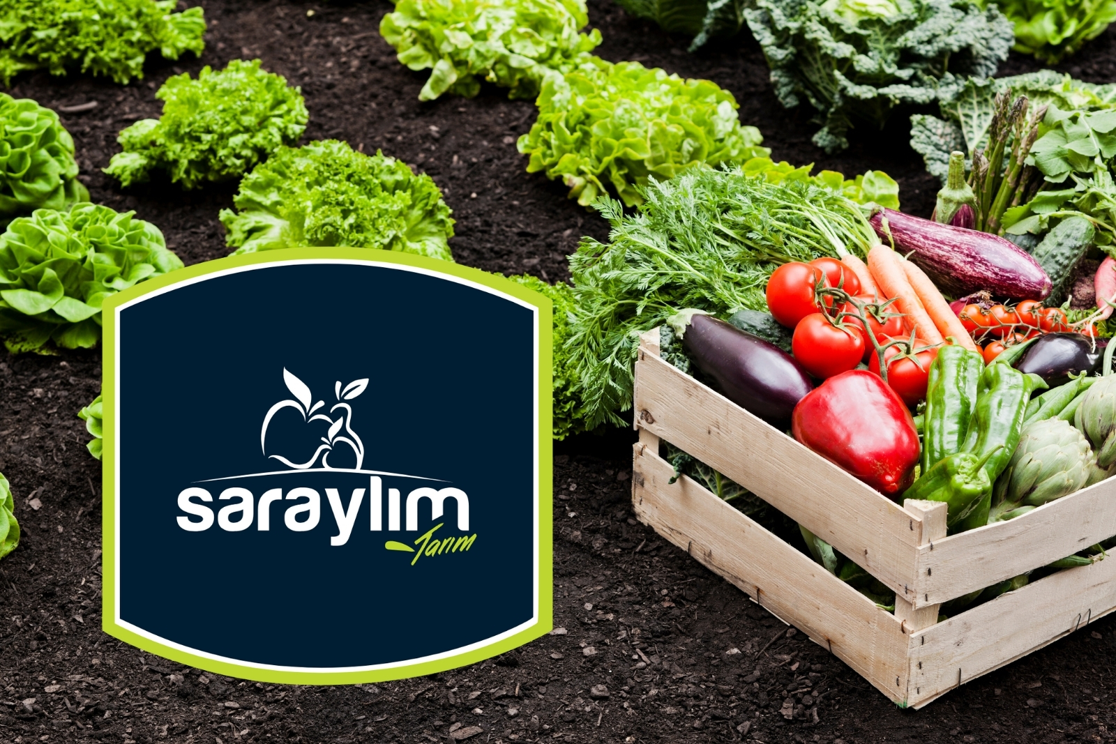 İhracatta öne çıkan Türk gıda devi Saraylım Tarım iflasın eşiğinde